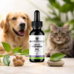 CBD Oil for Pets