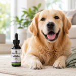 CBD Oil for Pets 3