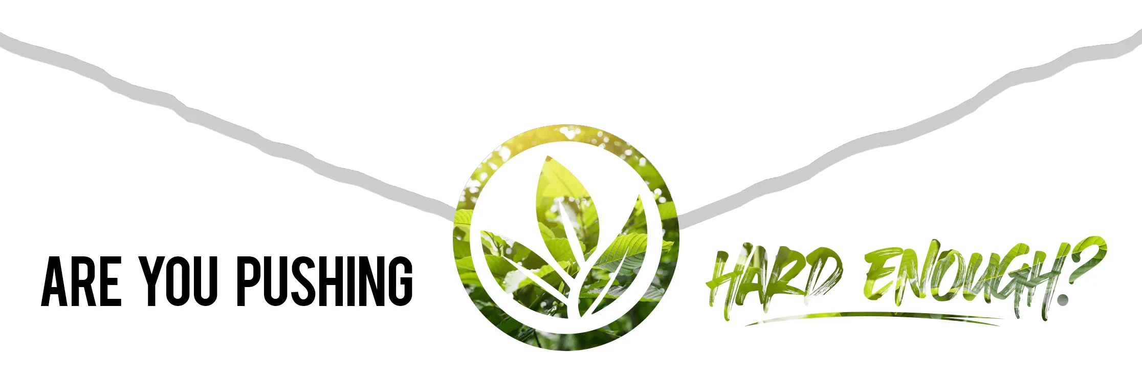 Urban Ice Botanicals Logo