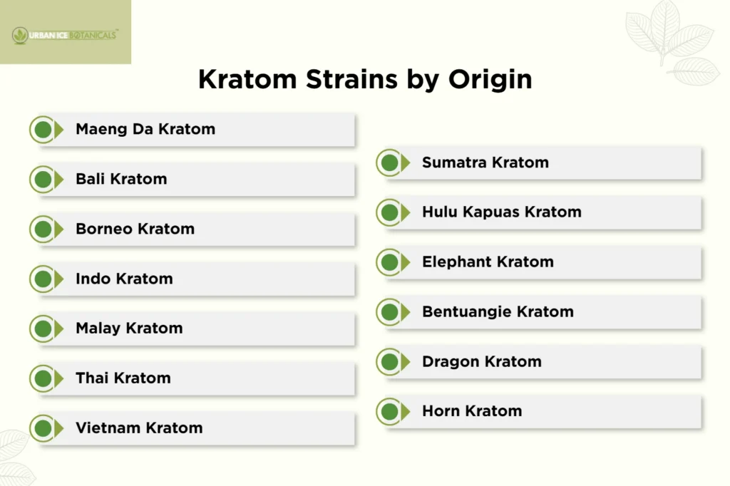 Kratom Strains Guide: Colors, Origins, Effects, Safety, and Comparison Chart 7 Kratom Strains by Origin