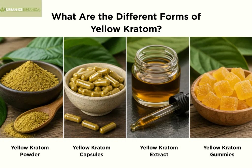 What Is Yellow Kratom? Effects, Strains, and Dosage Guide 5 what are the different forms of yellow kratom