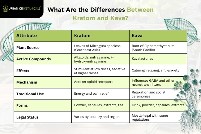 difference between kava and kratom