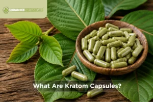 What Are Kratom Capsules