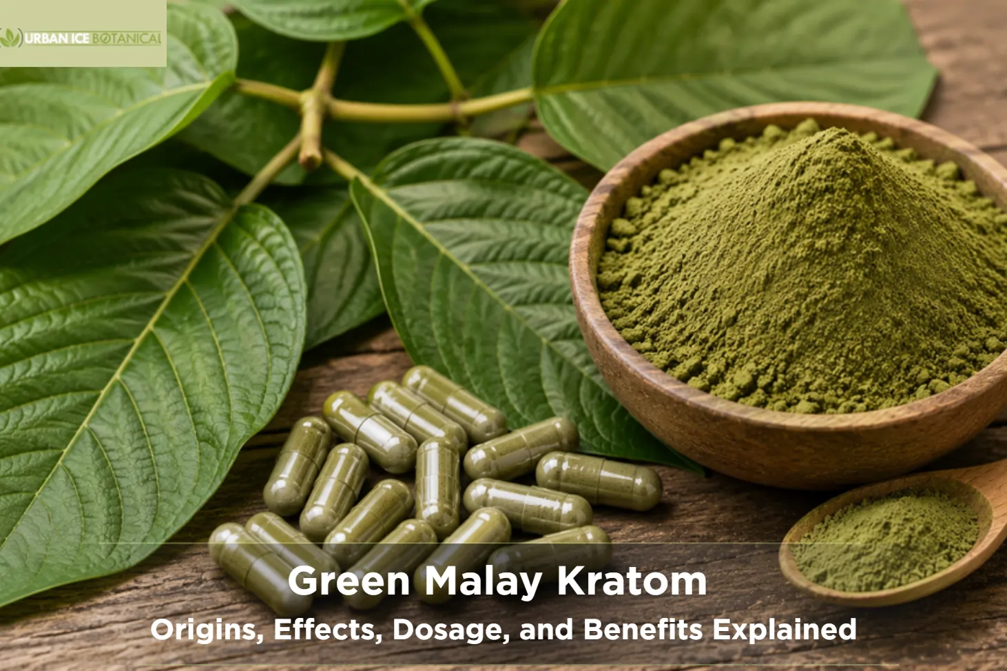 green malay kratom origins, effects, dosage, and benefits explained