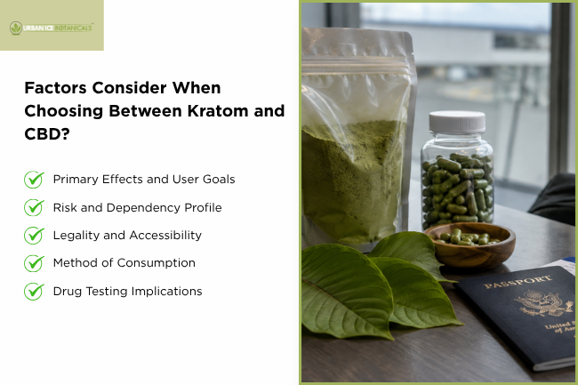 Factors Consider When Choosing Between Kratom and CBD