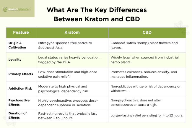 What Are The Key Differences Between Kratom and CBD