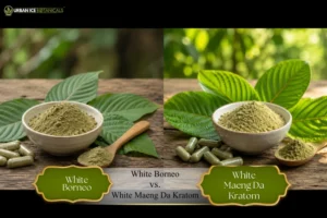 White Borneo Vs White Maeng Da Kratom