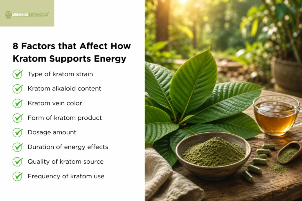 what factors affect how kratom supports energy (1)