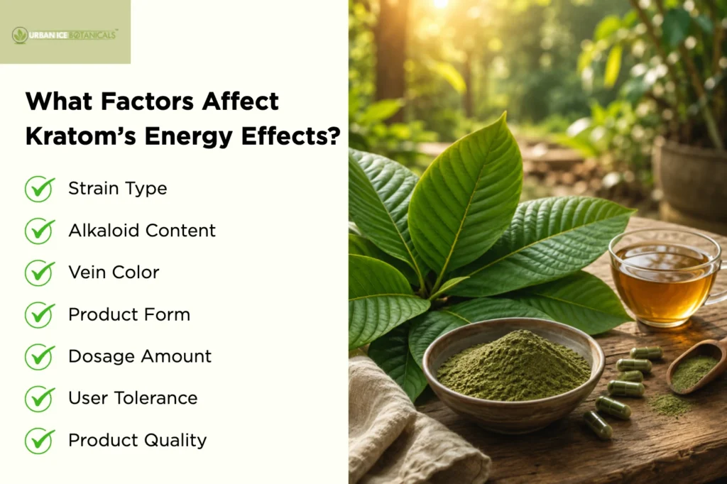 What Factors Affect Kratom’s Energy Effects
