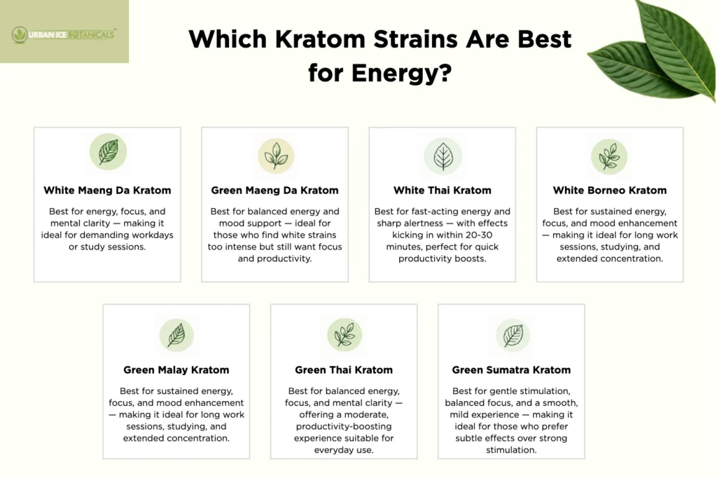 Which Kratom Strains Are Best for Energy